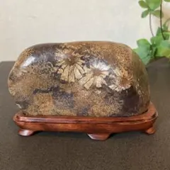 2026年最新】菊花石 岐阜の人気アイテム - メルカリ