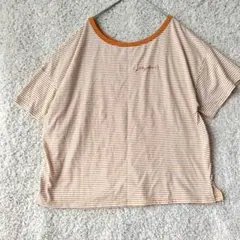 【イーハイフンワールドギャラリー】 ストライプ半袖 Tシャツ ショート丈