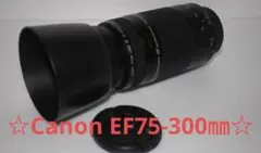 フード付き！Canon キヤノン EF90-300mm 望遠レンズ 整備済み。 - メルカリ