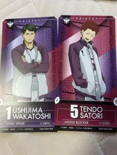 牛島若利　クリアカード　57枚 牛島若利 クリアカード 57枚 ハイキュー 牛島若利 クリアカード