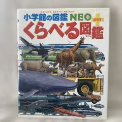 Item thumbnail for item e46fcd40-d52d-46f1-929a-43854b277906