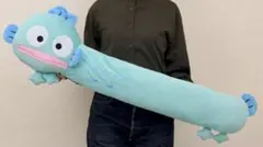 サンリオ ハンギョドン プラチナムザッカ めっちゃなが～い