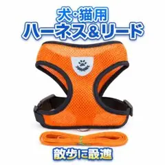 犬・猫用オレンジハーネス＆リードセット小型中型犬・猫用　反射素材調節可能　散歩