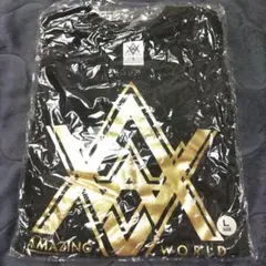 EXILE　AMAZINGWORLD　 Lサイズ