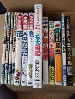 小学館の図鑑、もっとくらべる図鑑、科学のふしぎな話365 等 9冊セット