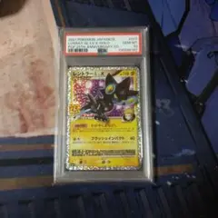 【psa10】倫琴貓 25週年