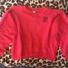 90sビンテージ！オールドステューシートレーナー