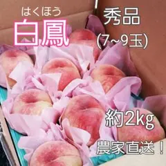 南信州産　桃　白鳳　秀品のサムネイル