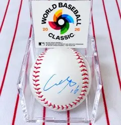 ワールドシリーズ2024 大谷翔平 山本由伸 直筆サイン入りボール ケース