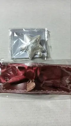 Flower Show 星形ヘアピンとリボンセット