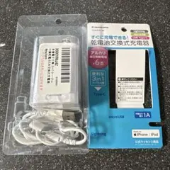 tama's 乾電池交換式充電器 USB Type-C