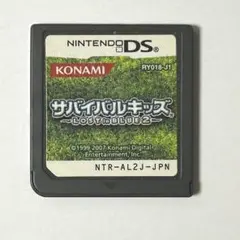 サバイバルキッズ Lost in Blue 2 DS