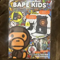 Item thumbnail for item b95d9386-2998-4cc6-845b-524e4cda949a