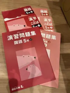 5年下　四谷大塚　予習シリーズ、テキスト、演習問題集 他　国語 5冊セット