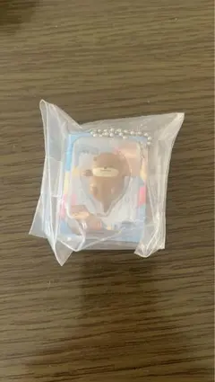 なんでもいきものミニチュアパッケージチャーム カワウソ