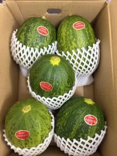 産地直送！甘いパパイヤメロン！肉厚で甘くて美味しい❗️5玉入り！箱込4.8キロ前後のサムネイル