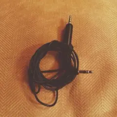 Item thumbnail for item 18a9b312-bb69-40e3-8394-9847e07158ea