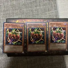 遊戯王 キラー・トマト アジア英語