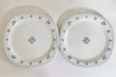 【希少品】ノリタケ Versatone バーサトーン プレート 2枚セット 青花