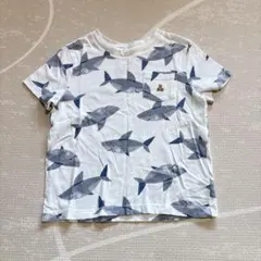 baby gap サメプリント Tシャツ 110 5y