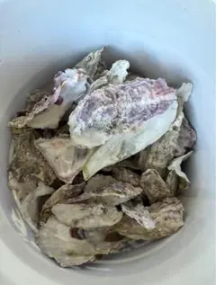 Item thumbnail for item a7cdfafb-0653-4bdc-99ad-4b64ae992871