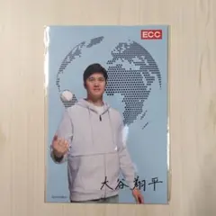 【非売品】 大谷翔平 ECCジュニア ポストカード