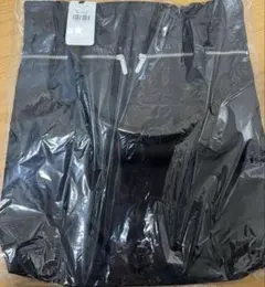 レスポートサック　神崎恵　SMART CARRY TOTEのサムネイル