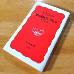 絶版・希少　都市開発を考える　アメリカと日本　大野輝之　レイコ・ハベ・エバンス
