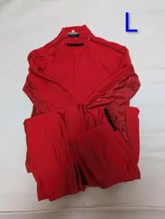 CARRERA競技用　クロスカントリースキー　ワンピース　L