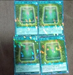 Item thumbnail for item e43acd3e-3222-4ddc-a00f-f4daf9253194