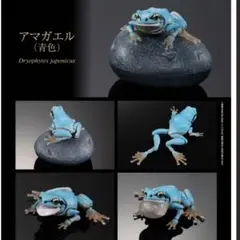 いきもの大図鑑　アマガエル　青色　ガチャ　1シリーズ