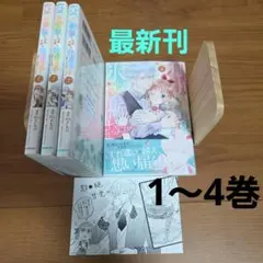 仕事人間な伯爵令嬢は氷の宰相様の愛を見誤っている 1〜4