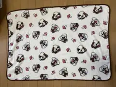 ディズニー　ブランケット チップとデール