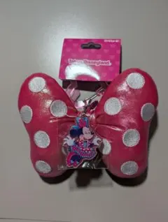 キーチェーン　ディズニー　ミニー　パルパルーザ　新品