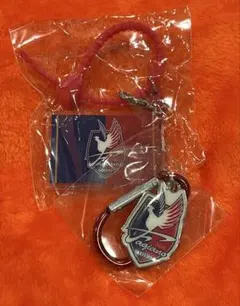 ファジアーノ岡山 マルチチャーム＆メタルチャーム2点セット