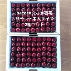 nacoco☆さま専用 青森県産・サミット・家庭用・加工用・中大サイズのサムネイル