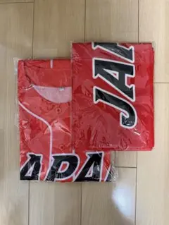 ファジアーノ岡山×明治安田 コラボオリジナルベースボールシャツ