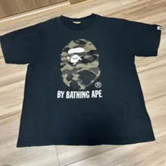 Item thumbnail for item e531f873-2c7b-409c-9fe7-a82201b4bb1e