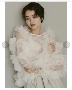 セール中完売品NOTRE emor ノートルエモアtulle veil tops 新品未使用】NOTRE emor tulle veil tops ピンク - メルカリ