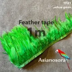 Item thumbnail for item 1776f79a-b466-4c32-ac87-f47b30e0cc4c