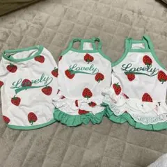いちご柄 Lovely タンクトップ 3点セット