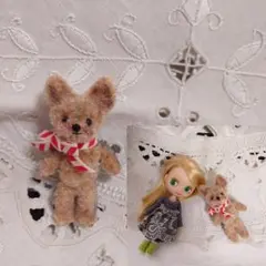 モールアート/モールベア/ヨークシャテリア テディヨーキー