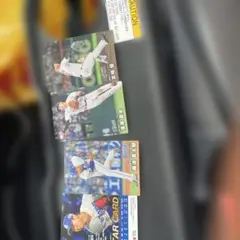 カルビー プロ野球チップス カード 4枚セット
