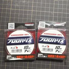 Item thumbnail for item 0b54fe09-1aad-48fa-9491-a68c4de263cf