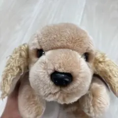 Ty 狗玩偶 約30公分 米色