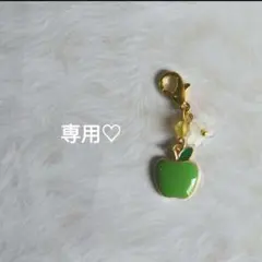 プラム様 リクエスト 2点 まとめ商品