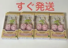 ルバニア ショコラうさぎ、フェネックの小さい赤ちゃん さくらんぼ　4個