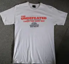 STUSSY×HECTIC×UNDEFEATED Tシャツ L 限定 コラボ