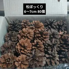 松ぼっくり 6〜7cm 80個セット