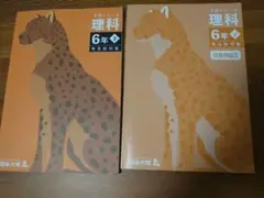 予習シリーズ 理科 6年下 別冊